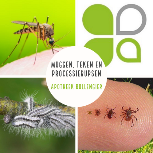 Muggen, teken en processierups