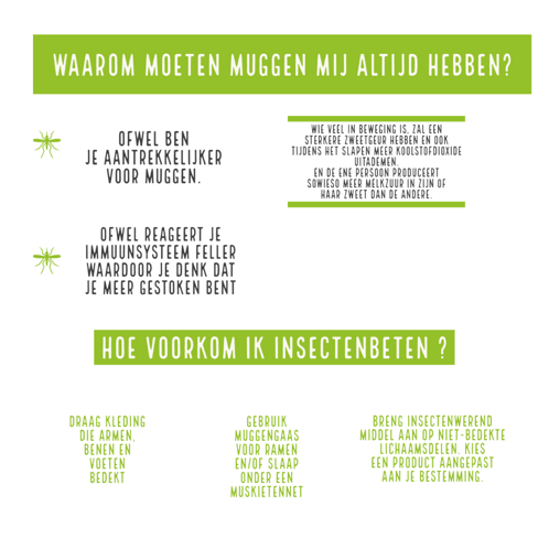 Muggen, teken en processierups